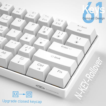 60% Mechanical Gaming Keyboard, White Gaming Keyboard with Red Switches, Detachable Type-C Cable Mini Keyboard with Blue LED Light For/Pc/Laptop