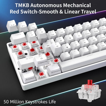 60% Mechanical Keyboard, Dk61Se Wired Gaming Keyboard with Red Switches, LED Backlit Ultra-Compact 61 Keys Mini Office Keyboard for Windows Laptop PC Gamer Typist（White）