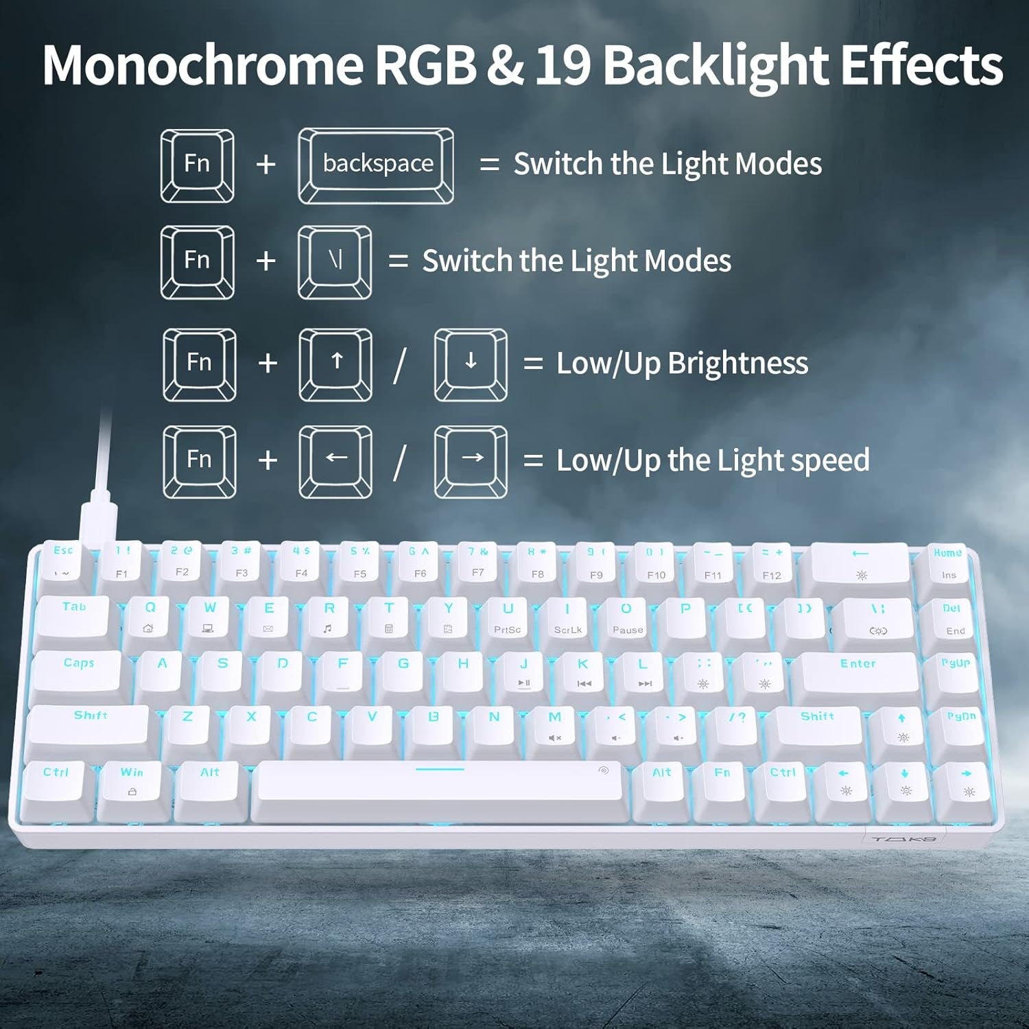 T68SE 60% Gaming Mechanical Keyboard,Ultra Compact Mini 68 Key with Blue Switches Wired Keyboard,Anti-Ghosting Keys, for Windows Laptops and PC Gamers,White