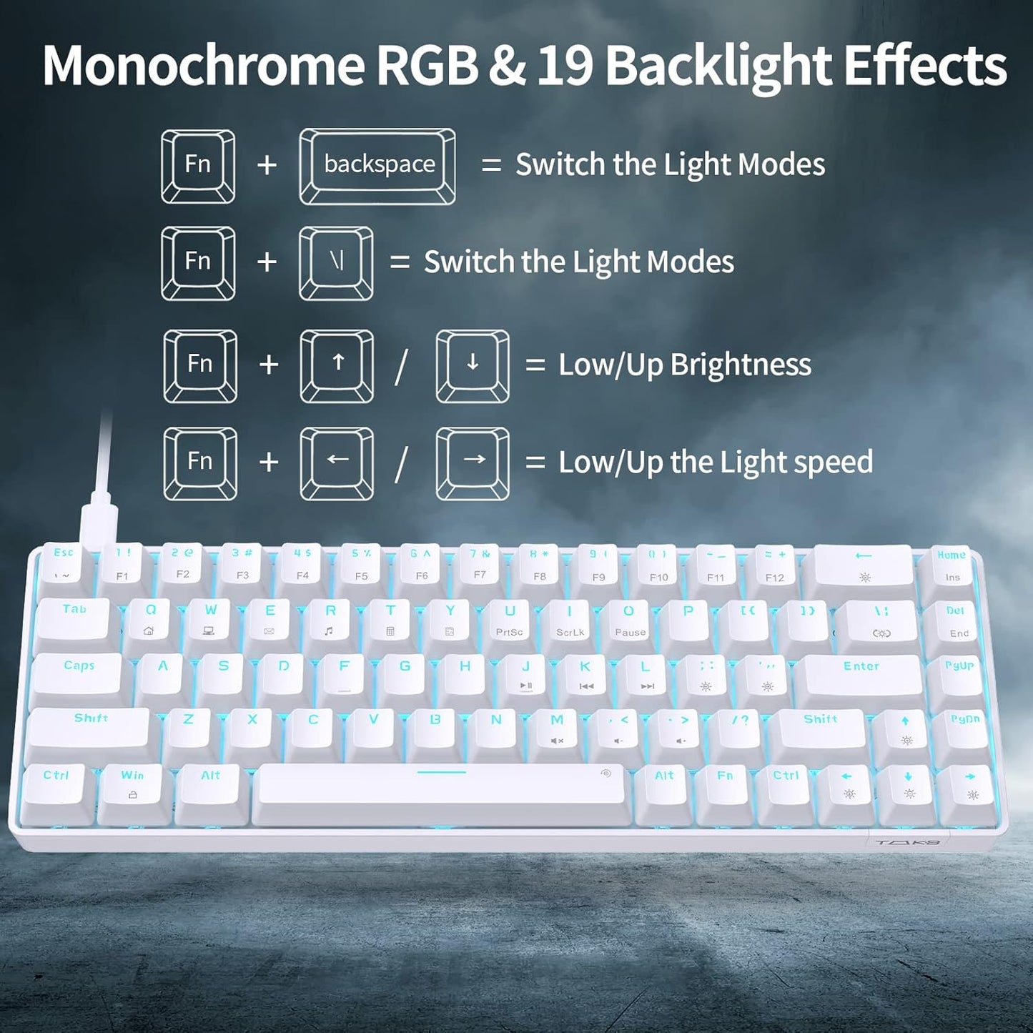 T68SE 60% Gaming Mechanical Keyboard,Ultra Compact Mini 68 Key with Brown Switch Wired Keyboard,Anti-Ghosting Keys, for Windows Laptops and PC Gamers,White