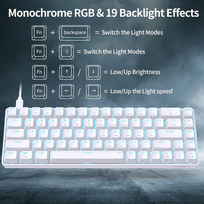 T68SE 60% Gaming Mechanical Keyboard,Ultra Compact Mini 68 Key with Brown Switch Wired Keyboard,Anti-Ghosting Keys, for Windows Laptops and PC Gamers,White