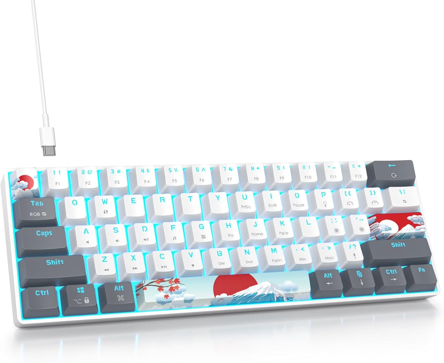 60% Percent Mechanical Keyboard RGB Gaming Keyboard 60 Percent, Ultra-Compact 61Keys Mini Wired Keyboard with Red Switch for Win/Mac PC Gamer(Whitegrey, Red Switch)