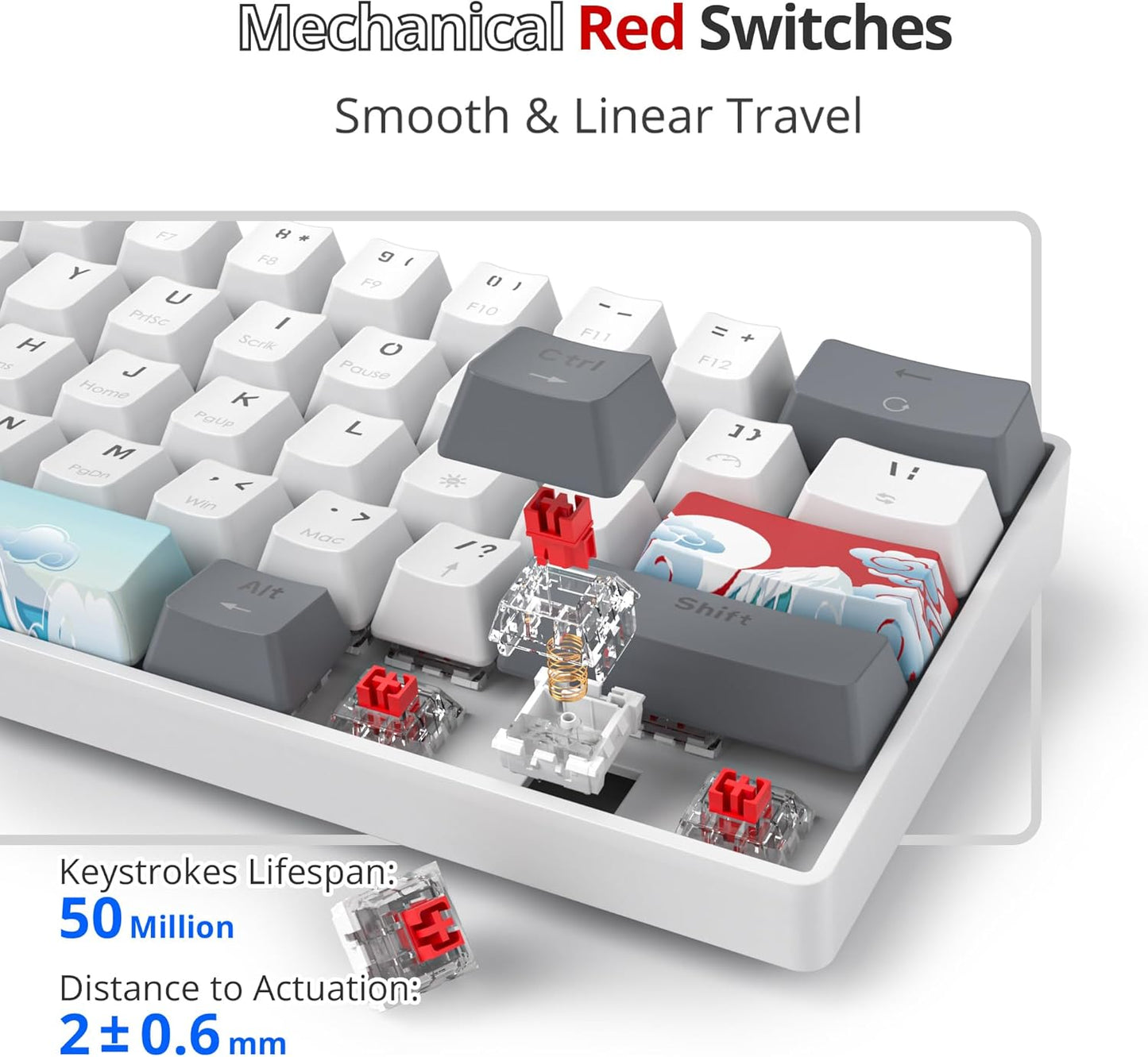 60% Percent Mechanical Keyboard RGB Gaming Keyboard 60 Percent, Ultra-Compact 61Keys Mini Wired Keyboard with Red Switch for Win/Mac PC Gamer(Whitegrey, Red Switch)