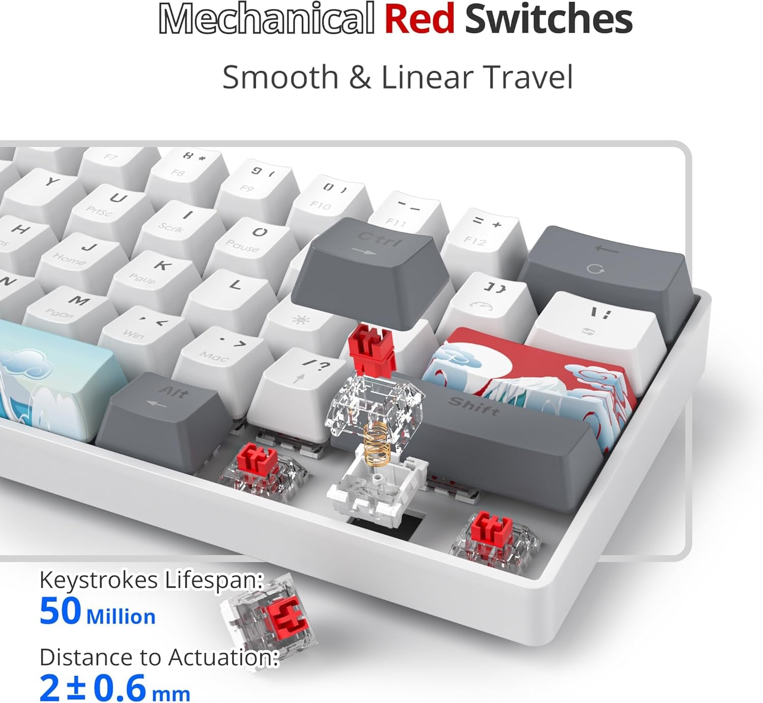 60% Percent Mechanical Keyboard RGB Gaming Keyboard 60 Percent, Ultra-Compact 61Keys Mini Wired Keyboard with Red Switch for Win/Mac PC Gamer(Whitegrey, Red Switch)