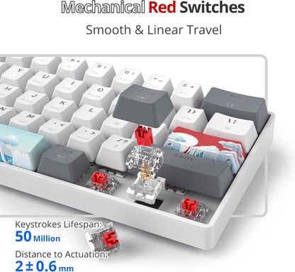 60% Percent Mechanical Keyboard RGB Gaming Keyboard 60 Percent, Ultra-Compact 61Keys Mini Wired Keyboard with Red Switch for Win/Mac PC Gamer(Whitegrey, Red Switch)