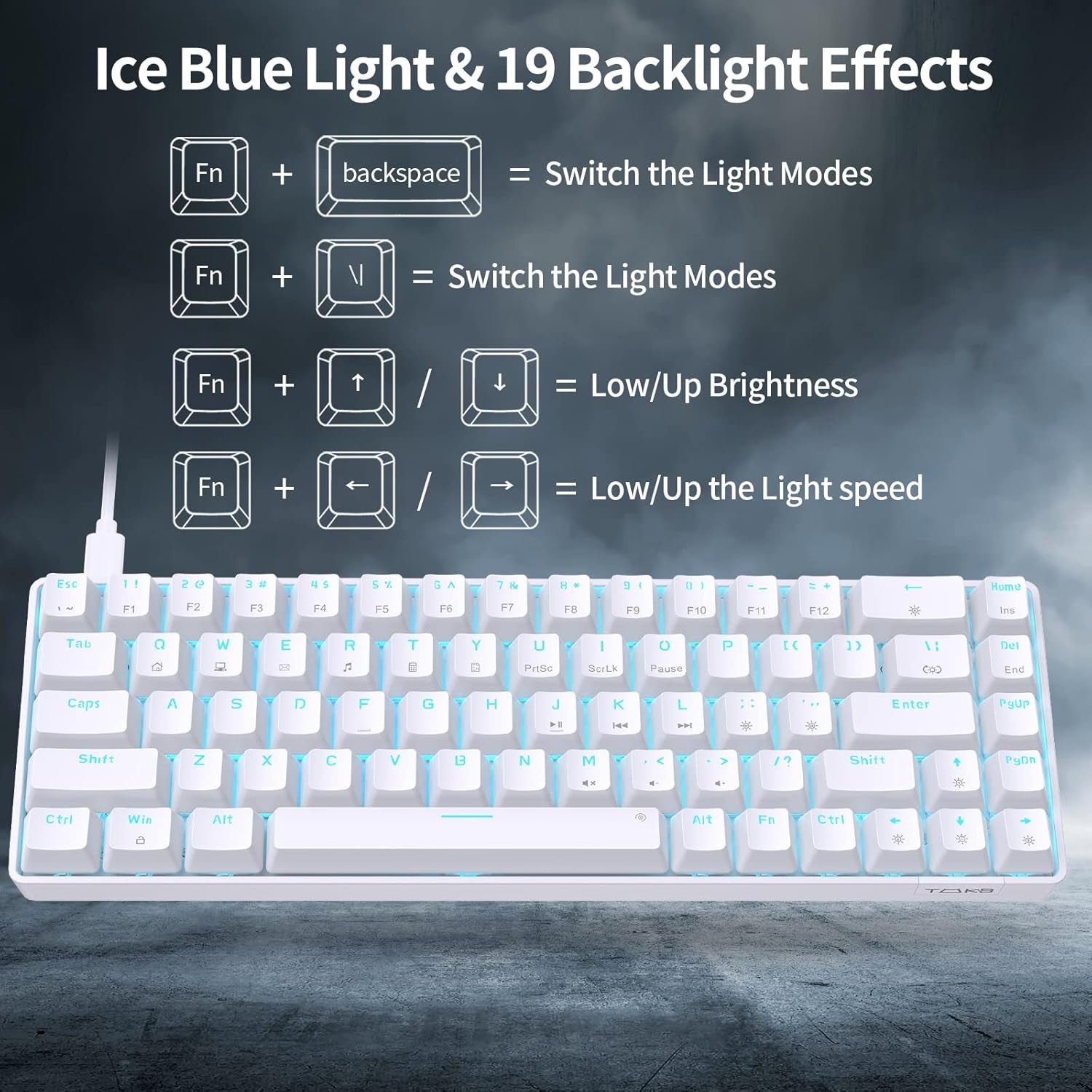 T68SE 60% Gaming Mechanical Keyboard,Ultra Compact Mini 68 Key with Red Switches Wired Keyboard,Anti-Ghosting Keys, for Windows Laptops and PC Gamers,White